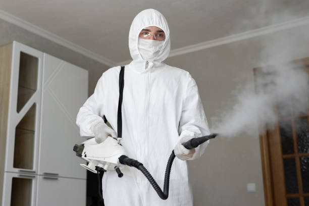 Biohazard Mold Removal in Kingsland, GA